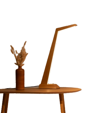 Lampe de bureau modèle N2
